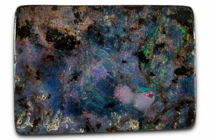 Colorful Polished Boulder Opal Specimen - Queensland, Australia #351840